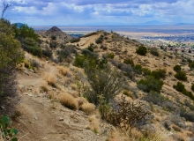 ⁨Cibola National Forest⁩, NM