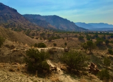 Book Cliffs, Fruita, CO