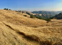 Henry W. Coe State Park, CA
