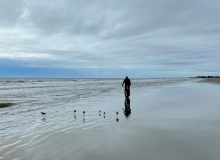 Isle  of Palms, SC