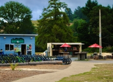Mountain Bike Rotorura, NZ