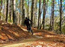 Ridgeline Trail, Dupont Forest, NC