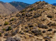 Trail 325, Albuquerque, NM