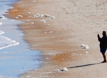 Fat Guy on a Beach, St. Augustine, FL