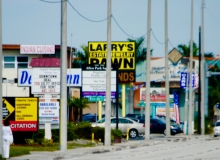 Southwest Florida in a Nutshell, Naples, FL