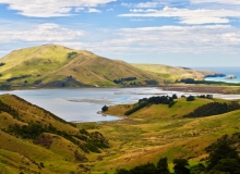 Otago Peninsula, Dunedin, NZ