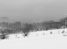Winter's Coming