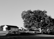 In Black and White