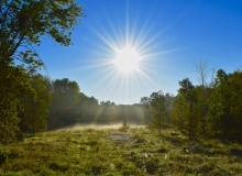Morning Mist