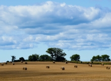 Hey, Hay