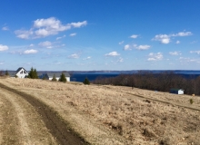 Spring's Back
