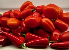 Harvest