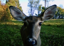 Are you lookin' at me?
