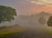 Brume