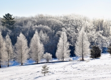 Freeze