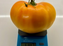1 lb, 14.3-oz