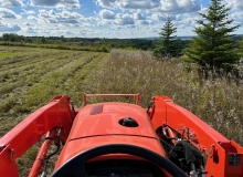 Cutting Green Acres