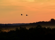 Morning flyby