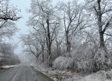 Lew Harris Road