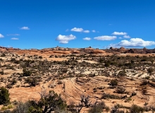Petrified Dunes