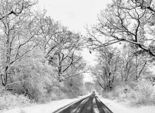 Winter's Back
