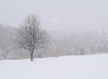 Snowfall