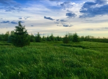 Green Acres in June