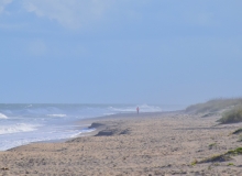 Beach, Jupiter, FL