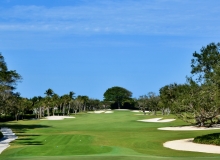 Lost Tree GC #1