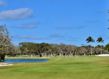 Lost Treee GC #18