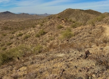 Apache Vista Trail