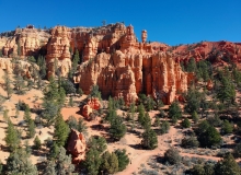 Hoodoo ya love